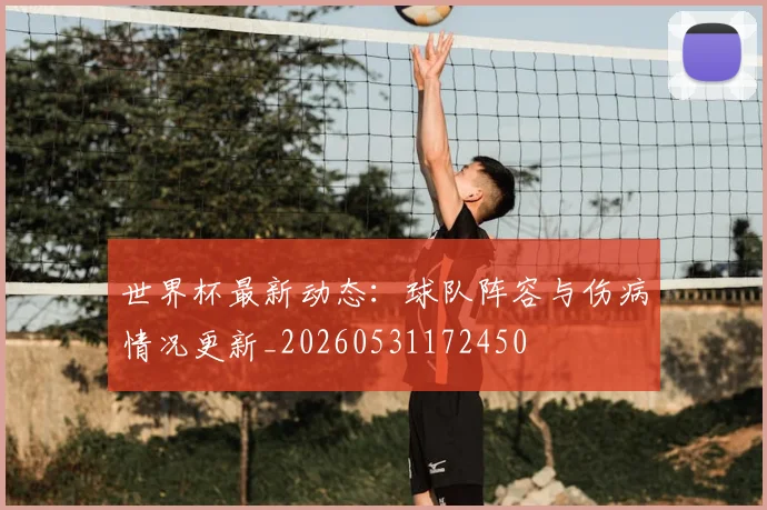 世界杯最新动态：球队阵容与伤病情况更新_20260531172450